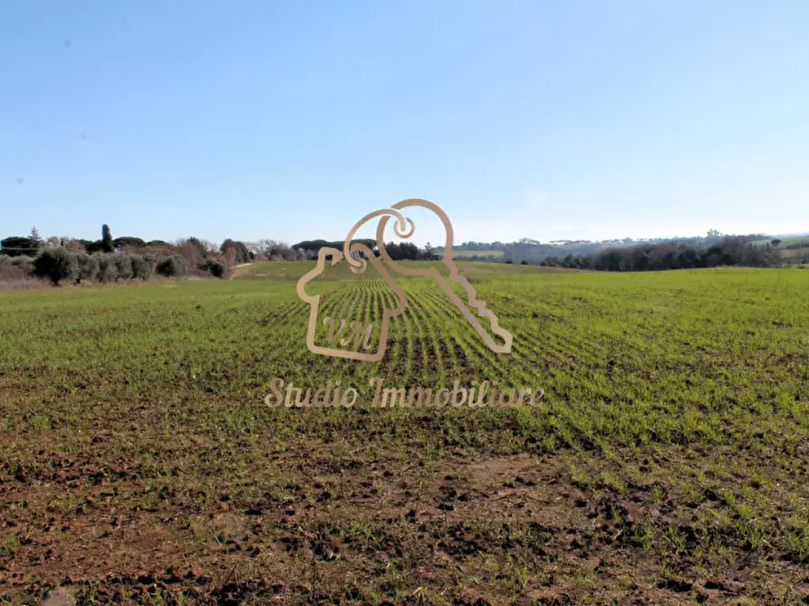Immagine 2 di Terreno in vendita  in Via Formellese a Roma