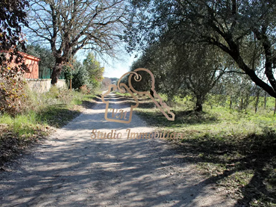 Immagine 14 di Terreno in vendita  in Via Formellese a Roma