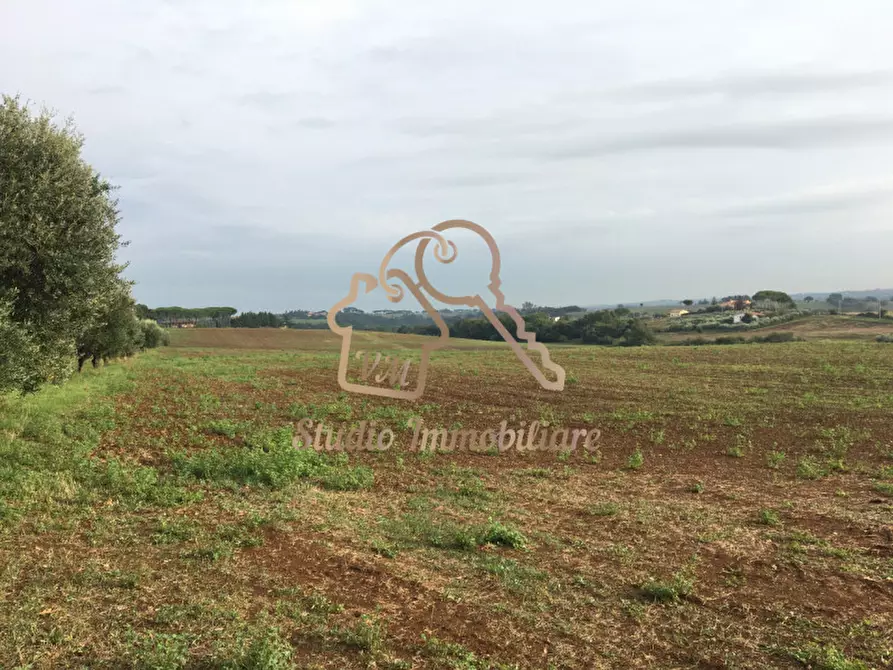 Immagine 18 di Terreno in vendita  in Via Formellese a Roma