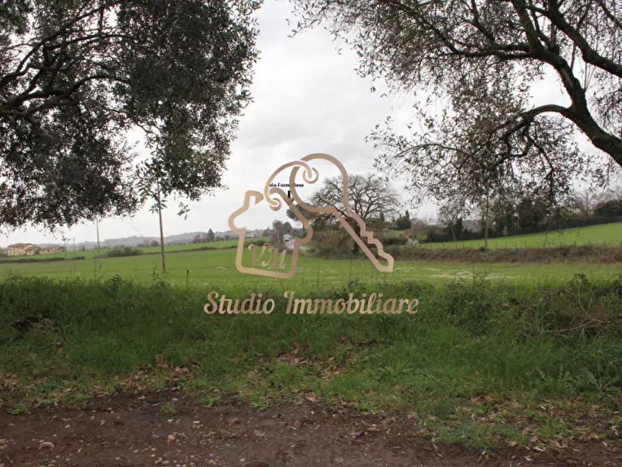 Immagine 19 di Terreno in vendita  in Via Formellese a Roma