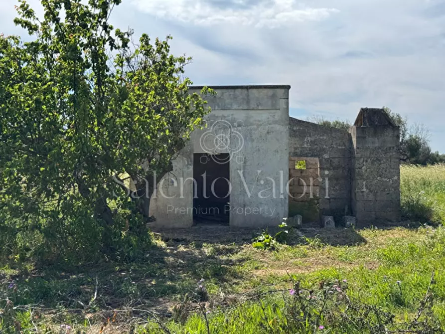 Immagine 2 di Casa indipendente in vendita  in Contrada Frasca a Matino
