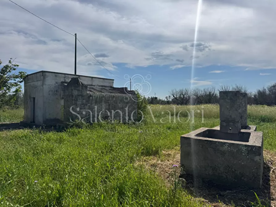 Immagine 6 di Casa indipendente in vendita  in Contrada Frasca a Matino