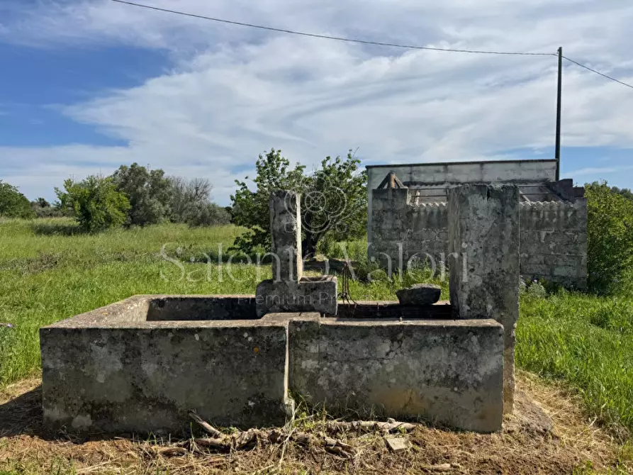 Immagine 8 di Casa indipendente in vendita  in Contrada Frasca a Matino