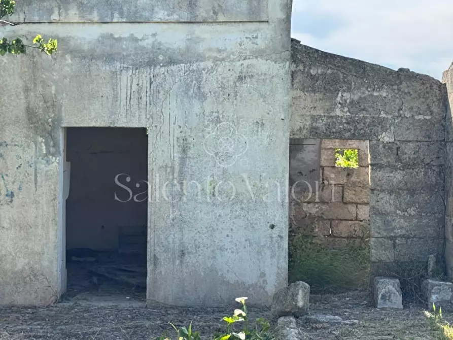 Immagine 9 di Casa indipendente in vendita  in Contrada Frasca a Matino