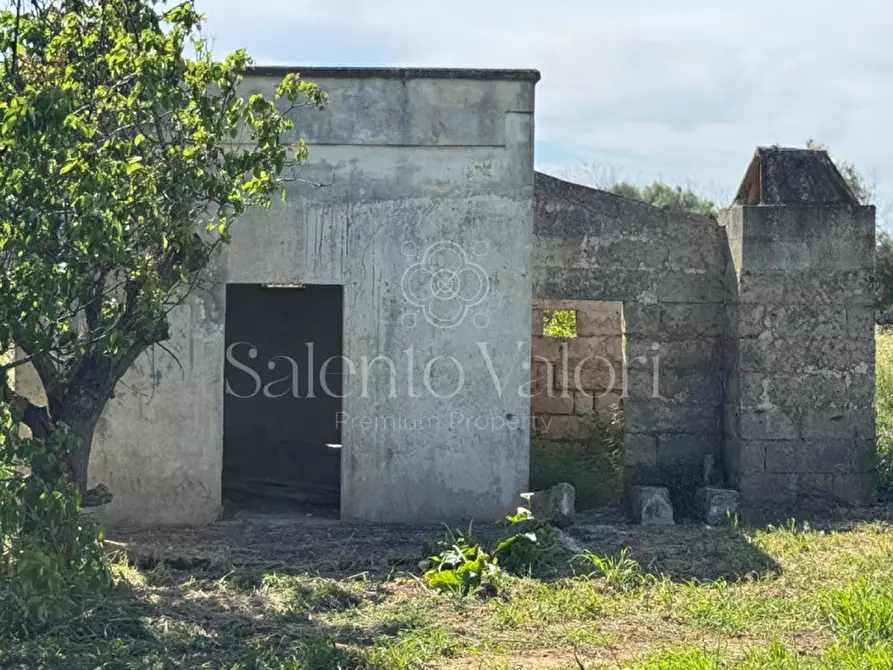 Immagine 10 di Casa indipendente in vendita  in Contrada Frasca a Matino