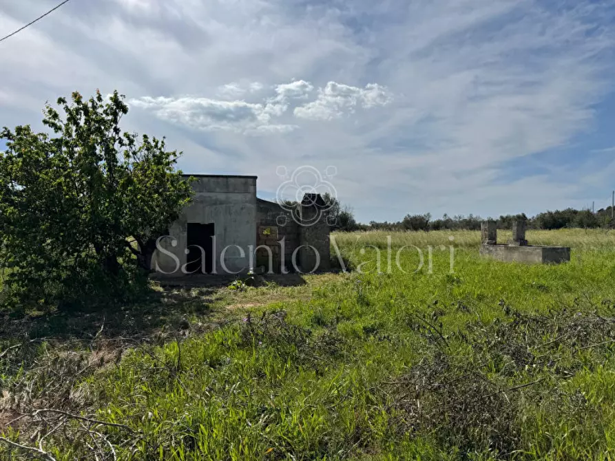 Immagine 12 di Casa indipendente in vendita  in Contrada Frasca a Matino