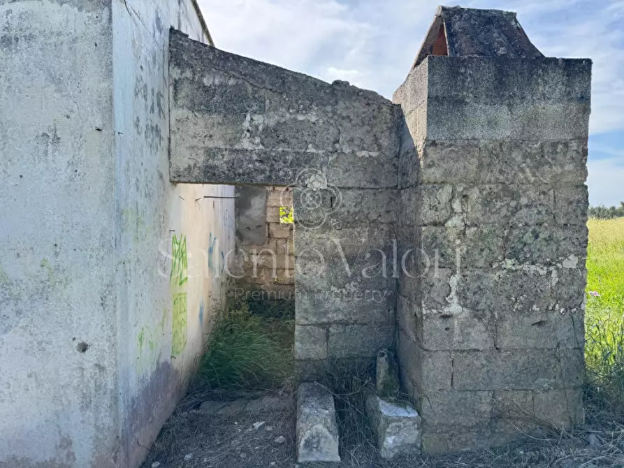 Immagine 17 di Casa indipendente in vendita  in Contrada Frasca a Matino