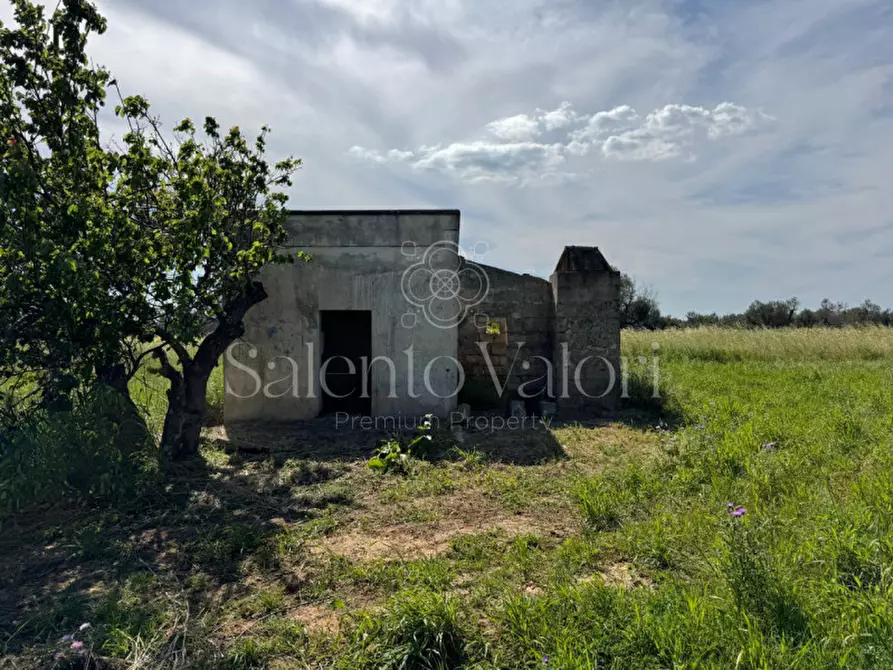 Immagine 19 di Casa indipendente in vendita  in Contrada Frasca a Matino