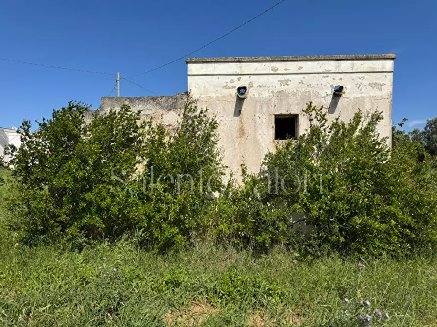 Immagine 21 di Casa indipendente in vendita  in Contrada Frasca a Matino
