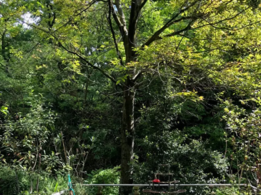 Immagine 7 di Terreno in vendita  in VIA PORRETTANA a Sasso Marconi