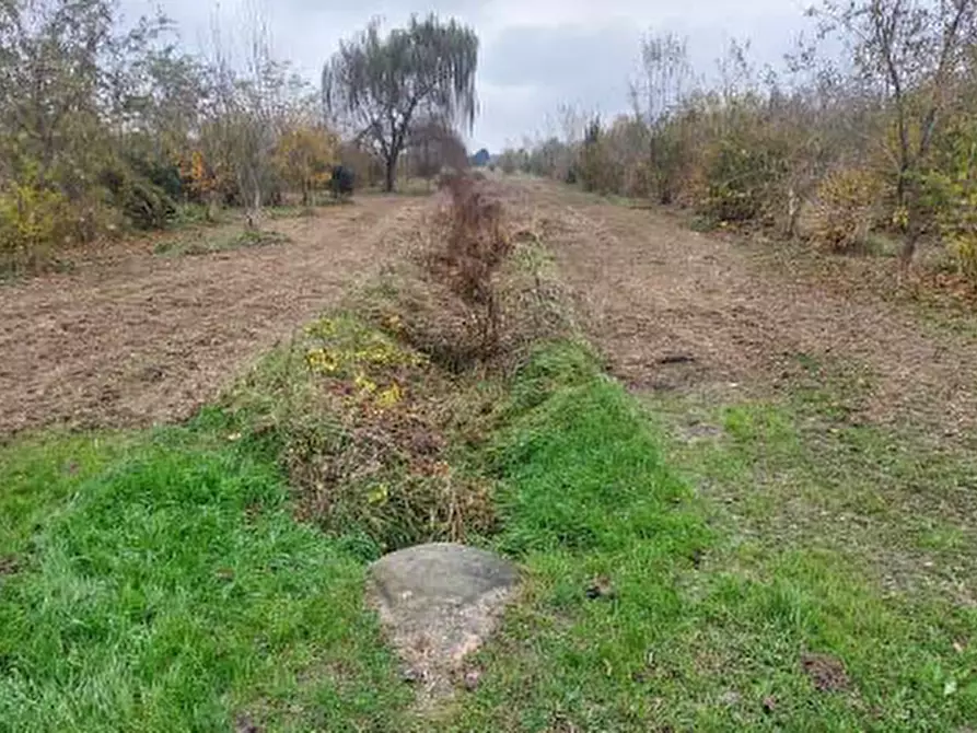 Immagine 3 di Terreno in vendita  in Via Mussetta di Sopra a San Donà Di Piave