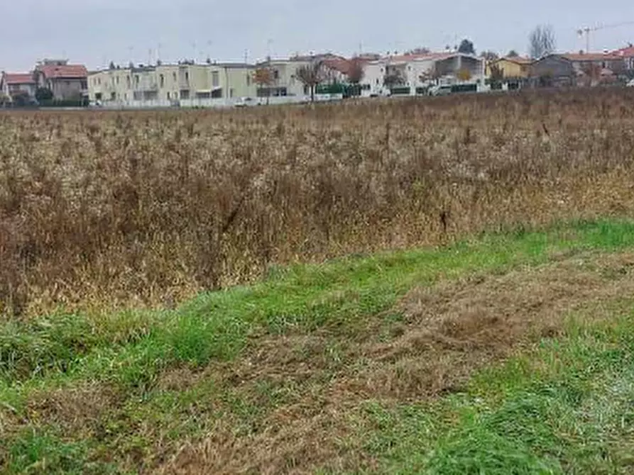 Immagine 3 di Terreno in vendita  in Via Mussetta di Sopra a San Donà Di Piave