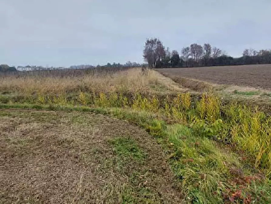 Immagine 5 di Terreno in vendita  in Via Mussetta di Sopra a San Donà Di Piave