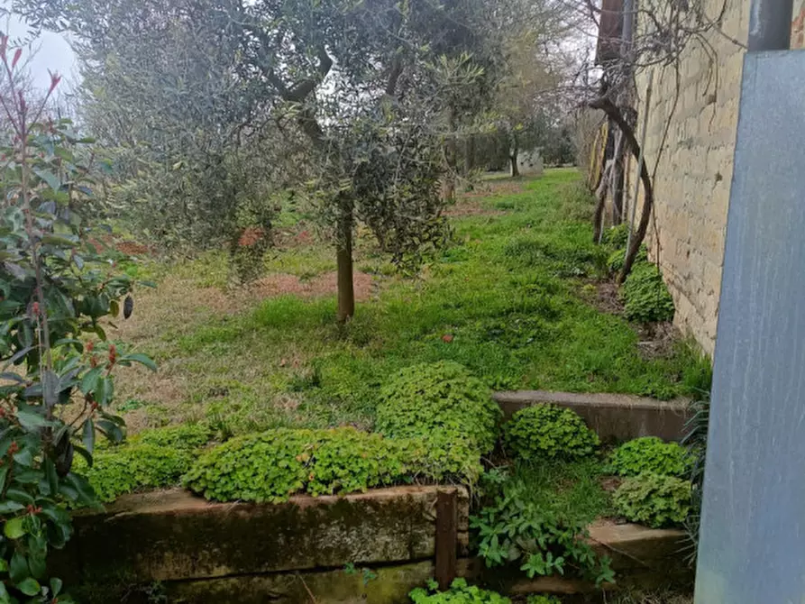 Immagine 5 di Casa indipendente in vendita  in Via Castello 22 a Conzano