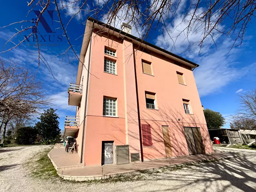 Immagine 2 di Casa bifamiliare in vendita  a Mondolfo