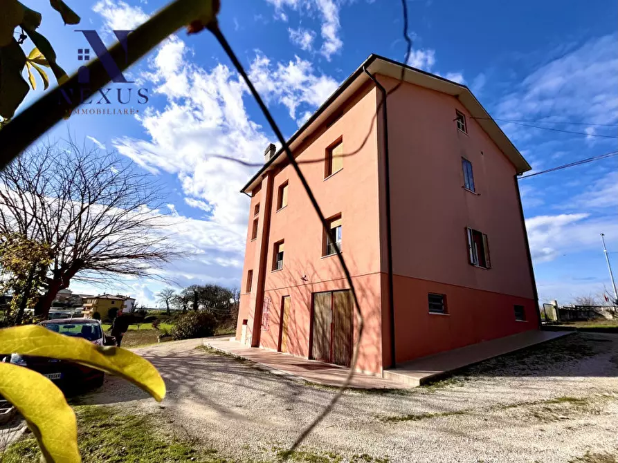 Immagine 5 di Casa bifamiliare in vendita  a Mondolfo