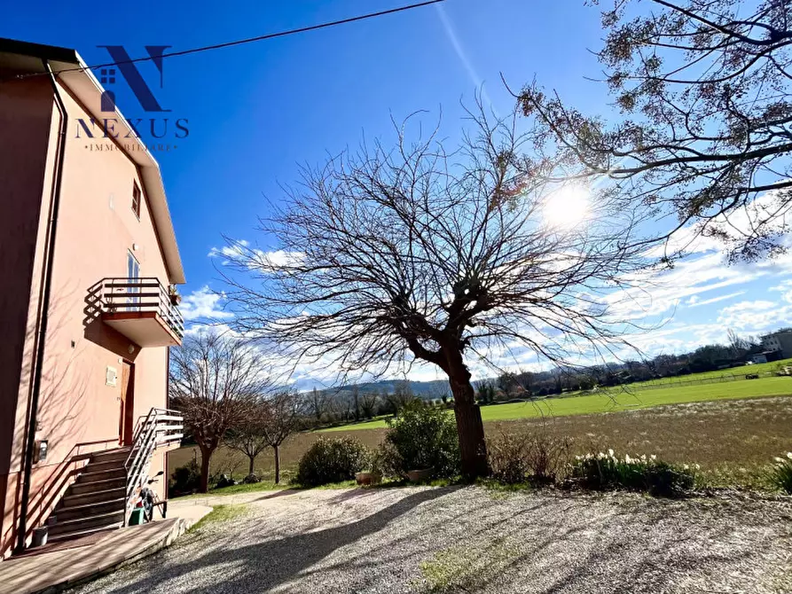 Immagine 6 di Casa bifamiliare in vendita  a Mondolfo