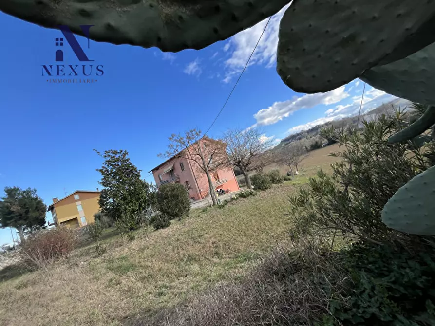 Immagine 8 di Casa bifamiliare in vendita  a Mondolfo