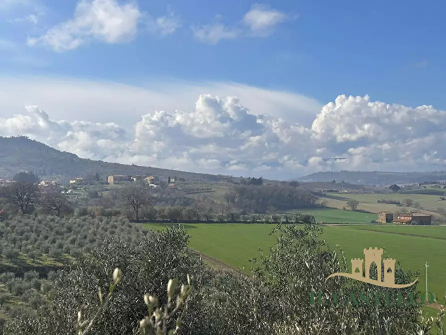 Immagine 3 di Casa indipendente in vendita  in Borgarucci a Paciano