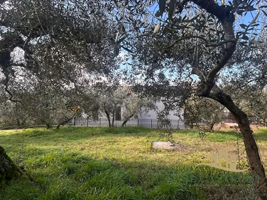 Immagine 6 di Casa indipendente in vendita  in Borgarucci a Paciano