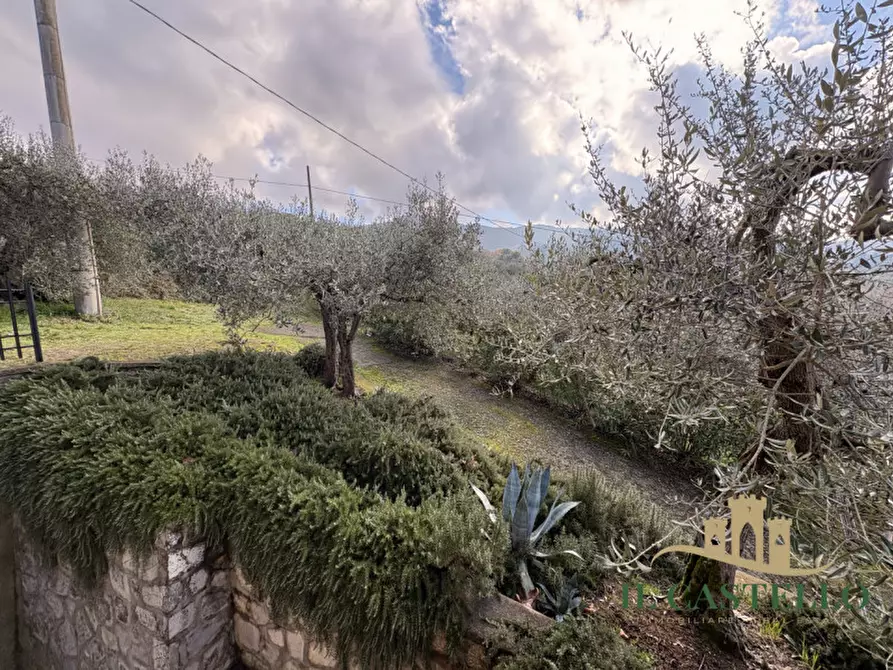 Immagine 19 di Casa indipendente in vendita  in Borgarucci a Paciano
