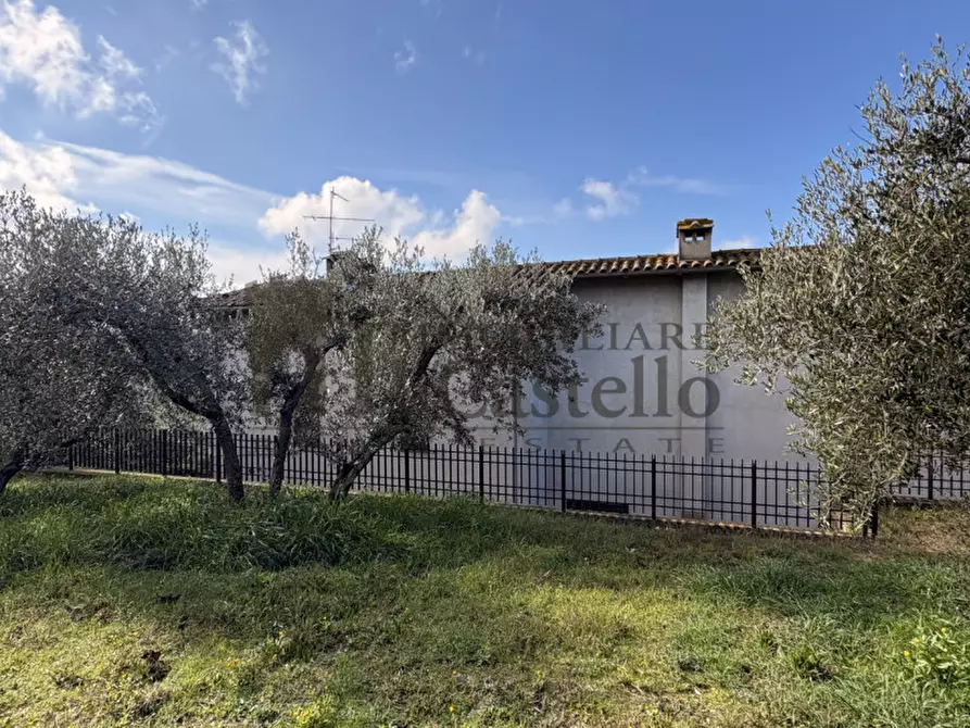 Immagine 26 di Casa indipendente in vendita  in Borgarucci a Paciano