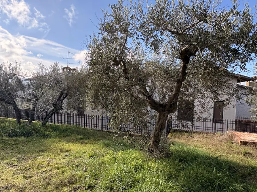 Immagine 27 di Casa indipendente in vendita  in Borgarucci a Paciano