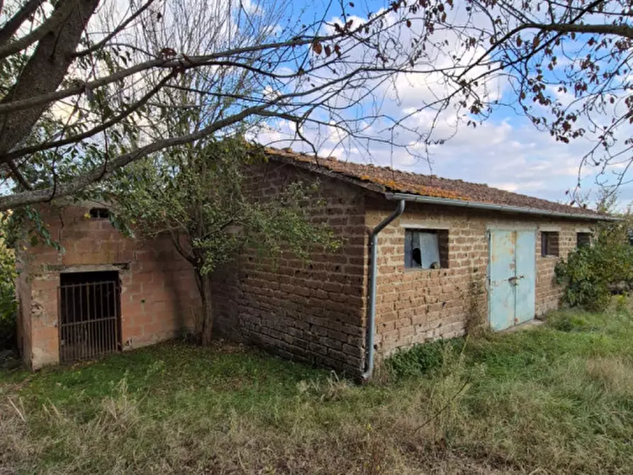 Immagine 4 di Rustico / casale in vendita  a Lucignano