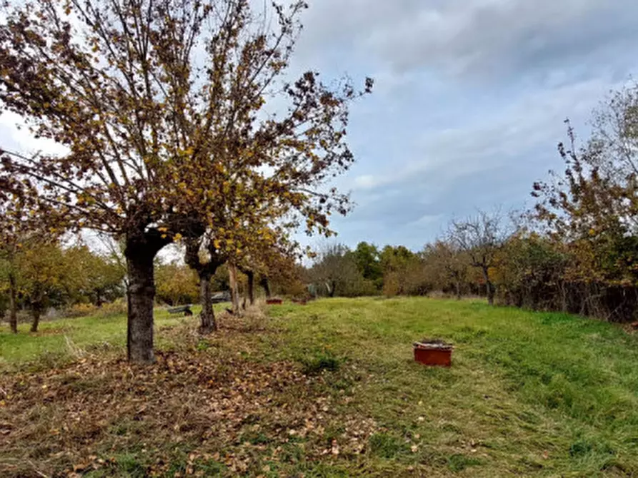 Immagine 8 di Rustico / casale in vendita  a Lucignano