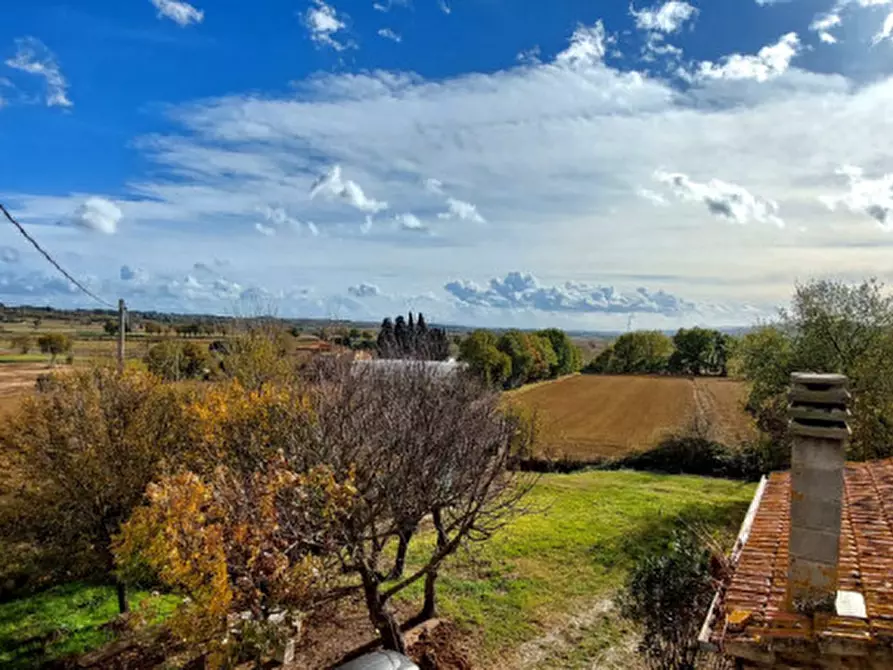Immagine 17 di Rustico / casale in vendita  a Lucignano