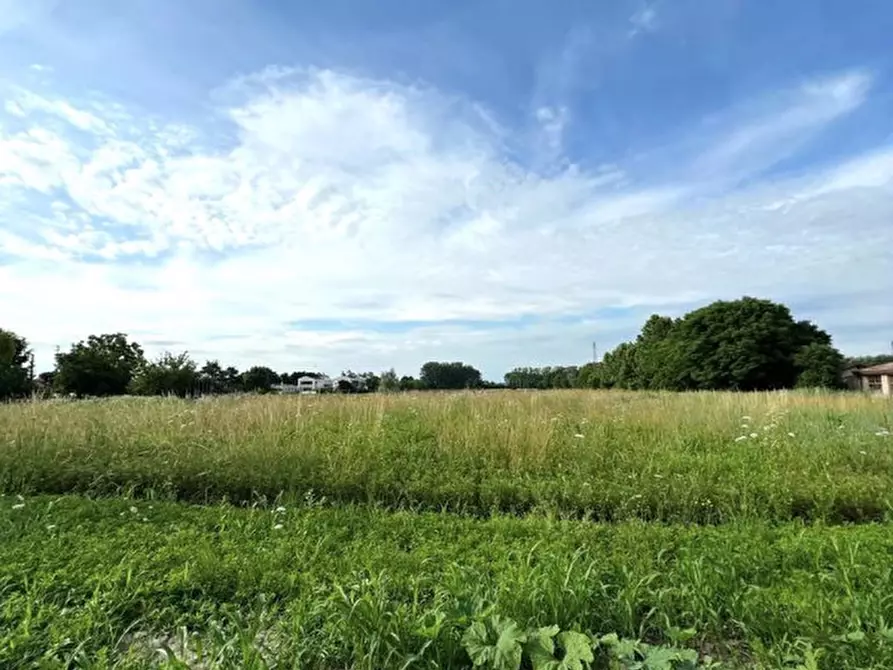 Immagine 6 di Terreno in vendita  in Via Capeleo a Stra