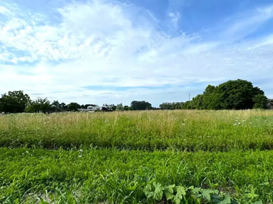 Immagine 8 di Terreno in vendita  in Via Capeleo a Stra
