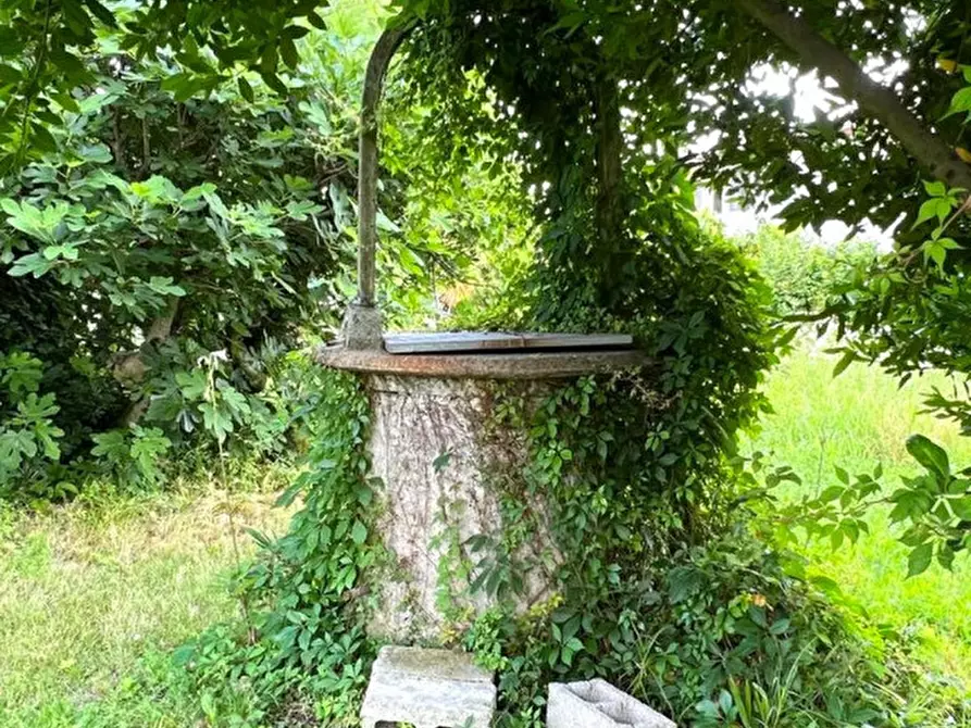 Immagine 12 di Terreno in vendita  in Via Capeleo a Stra