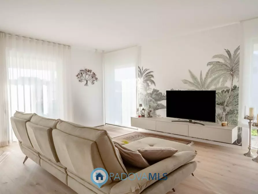 Immagine 2 di Villa in vendita  a Borgoricco