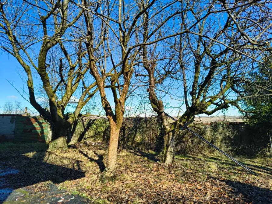 Immagine 1 di Villa in vendita  in Strada Turriglie 6 a Chieri