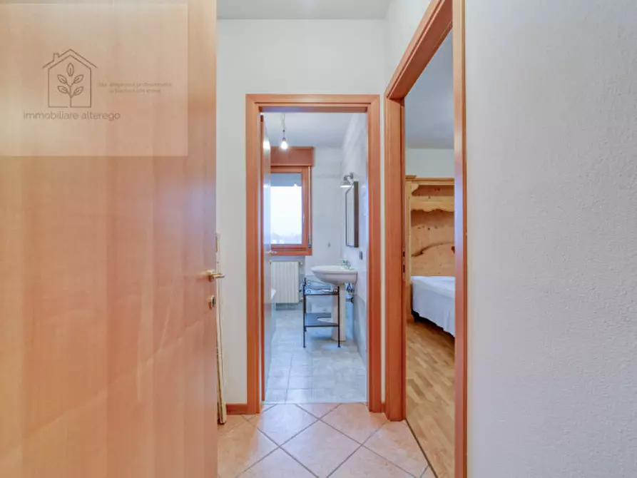 Immagine 4 di Appartamento in vendita  in Via Pioveghetto a Padova