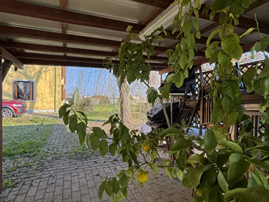 Immagine 5 di Casa bifamiliare in vendita  in Via Cavour, 10 a Colorno