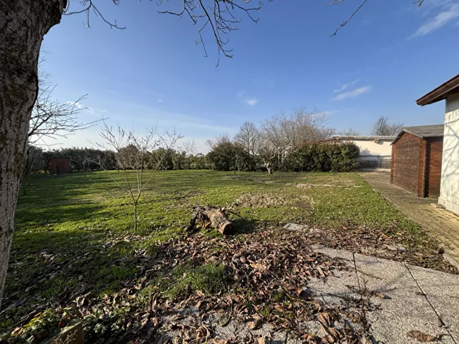 Immagine 59 di Casa bifamiliare in vendita  in Via Cavour, 10 a Colorno