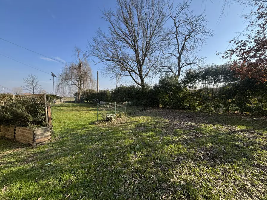 Immagine 61 di Casa bifamiliare in vendita  in Via Cavour, 10 a Colorno