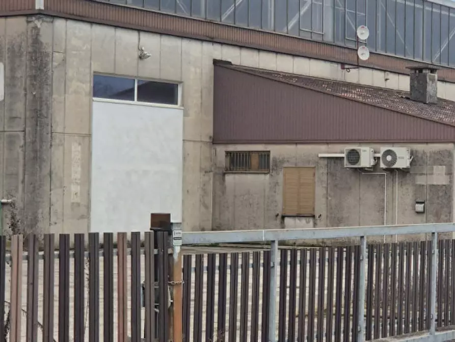 Immagine 3 di Capannone industriale in vendita  in Via Giovan Battista Vico 5 a Godega Di Sant'urbano
