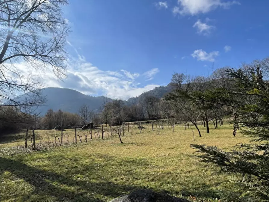 Immagine 6 di Casa bifamiliare in vendita  in Via Castello a Idro