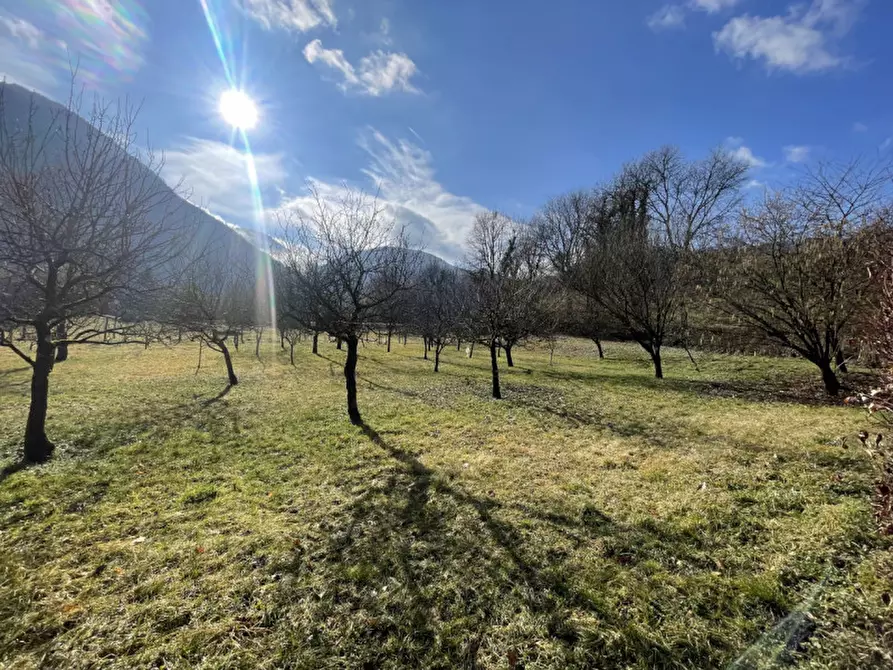 Immagine 10 di Casa bifamiliare in vendita  in Via Castello a Idro