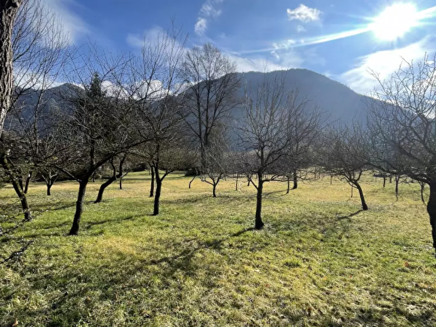 Immagine 11 di Casa bifamiliare in vendita  in Via Castello a Idro
