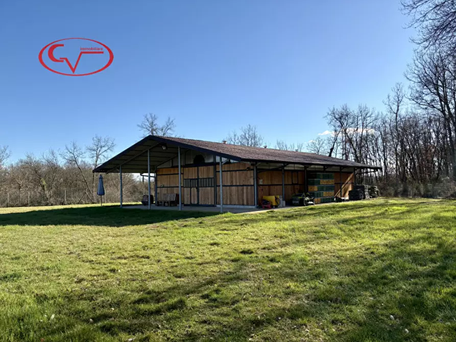 Immagine 55 di Rustico / casale in vendita  in Gangherete a Terranuova Bracciolini