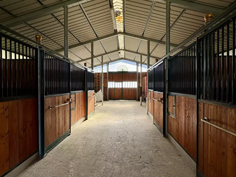 Immagine 57 di Rustico / casale in vendita  in Gangherete a Terranuova Bracciolini