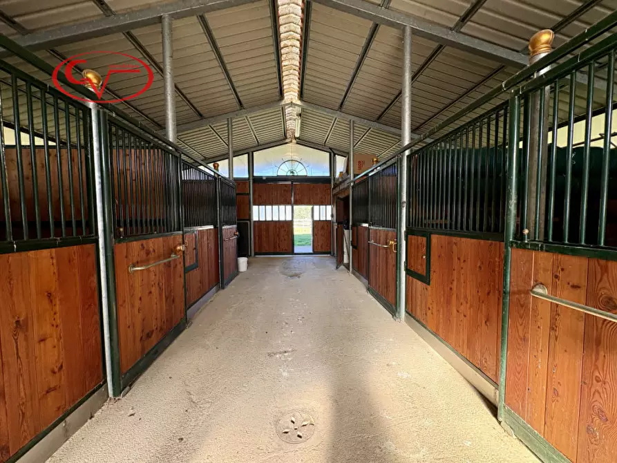 Immagine 58 di Rustico / casale in vendita  in Gangherete a Terranuova Bracciolini