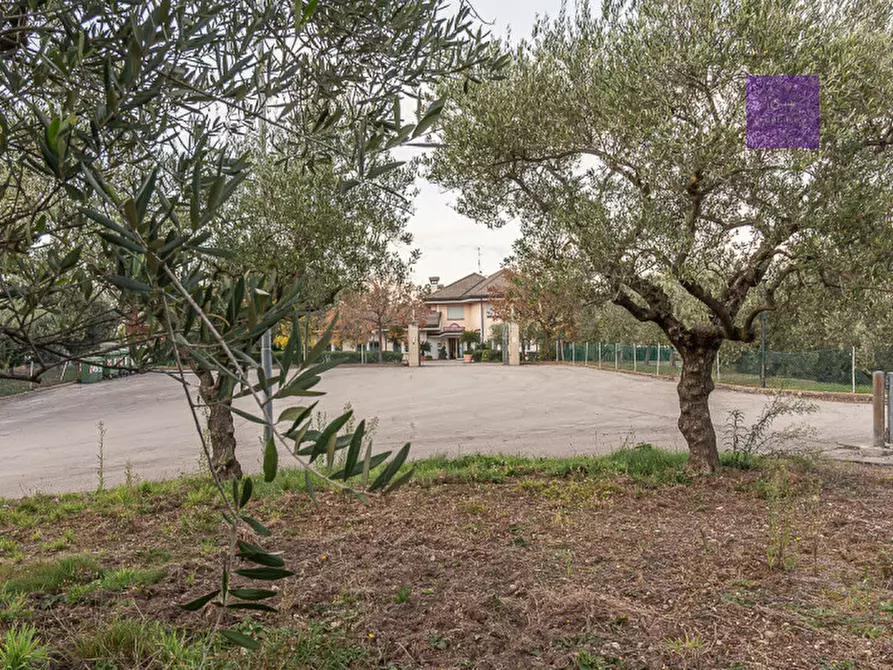 Immagine 53 di Hotel in vendita  a Torreglia