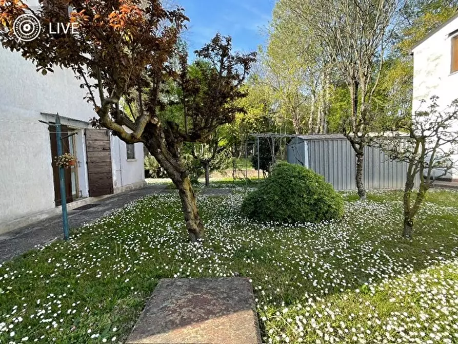 Immagine 15 di Casa indipendente in vendita  in Via Roma 303 a Albignasego