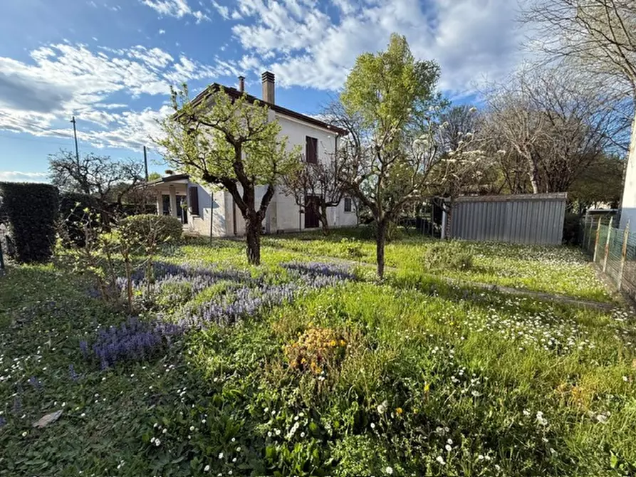 Immagine 16 di Casa indipendente in vendita  in Via Roma 303 a Albignasego