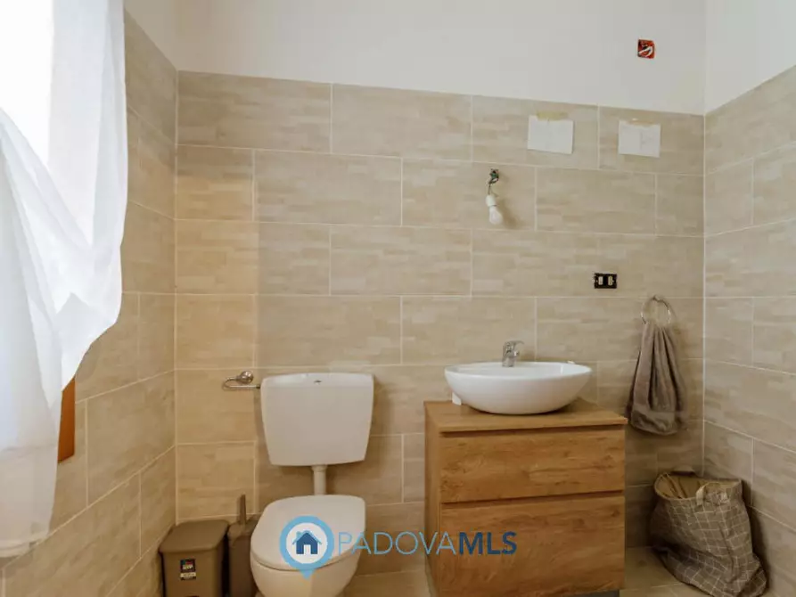 Immagine 13 di Rustico / casale in vendita  in Via Sassoni a Cinto Euganeo